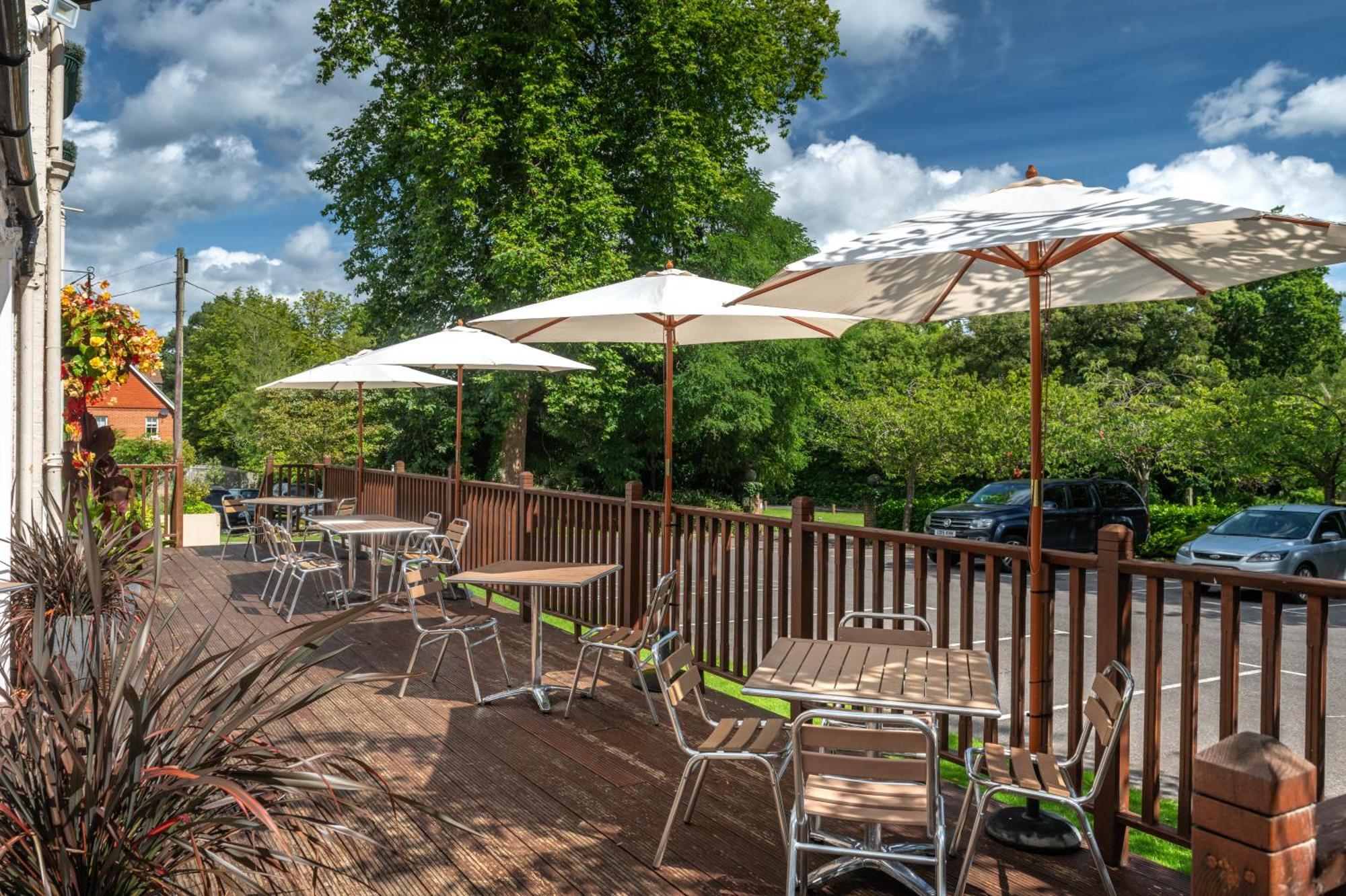 Forest Hotel 4*