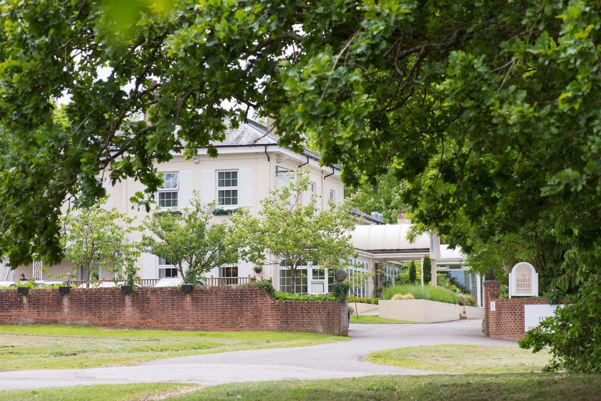 Forest Hotel 4*